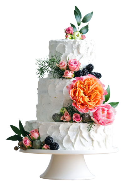 Cake