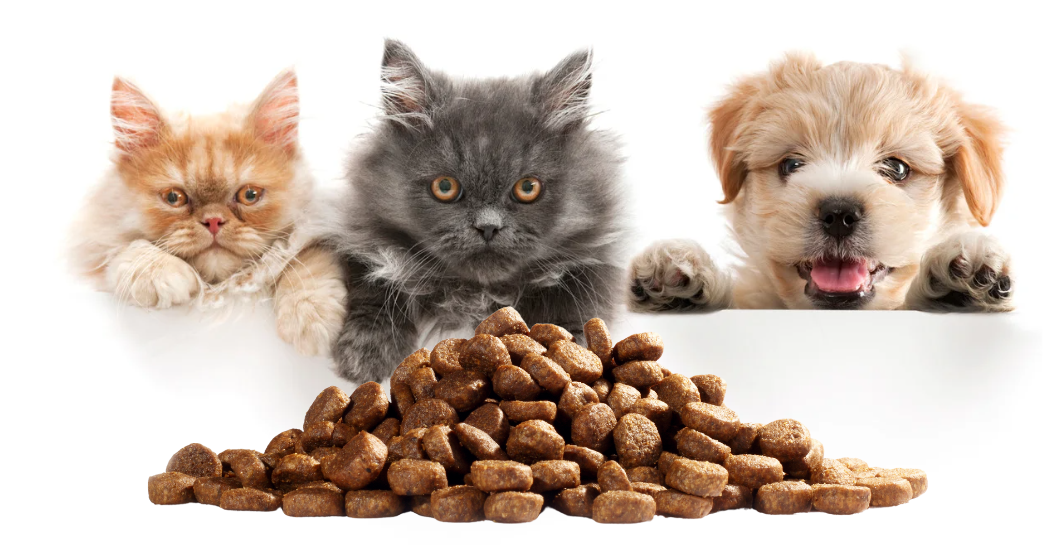 pet food Pet Food
